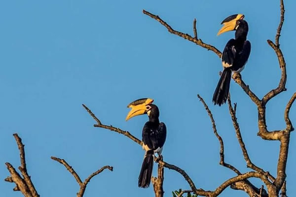 Bundala National Park (3)